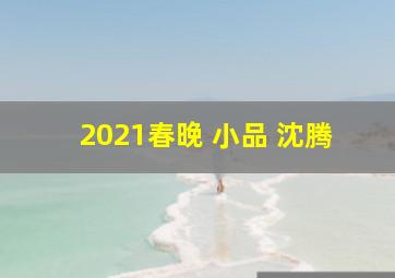 2021春晚 小品 沈腾